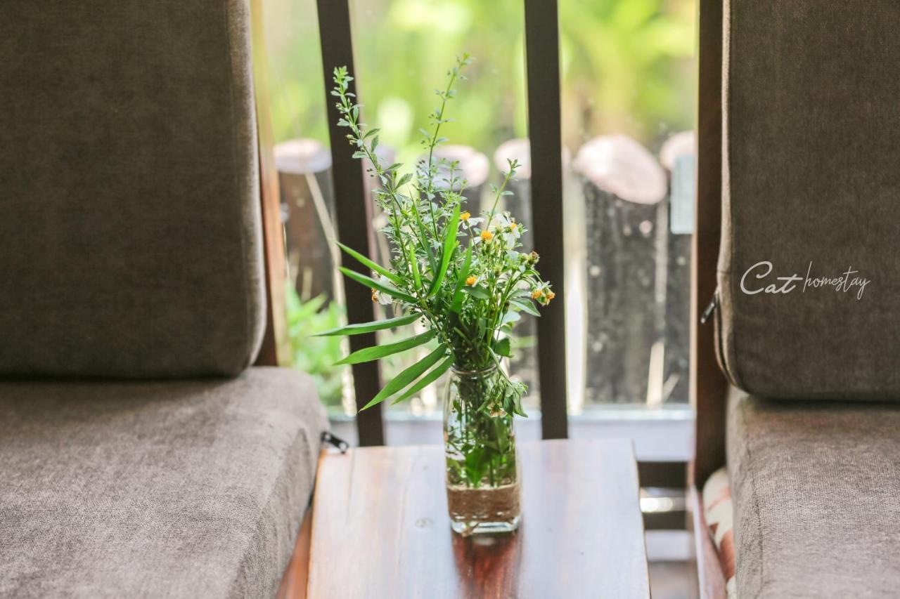 Cat Homestay Хюе Екстер'єр фото