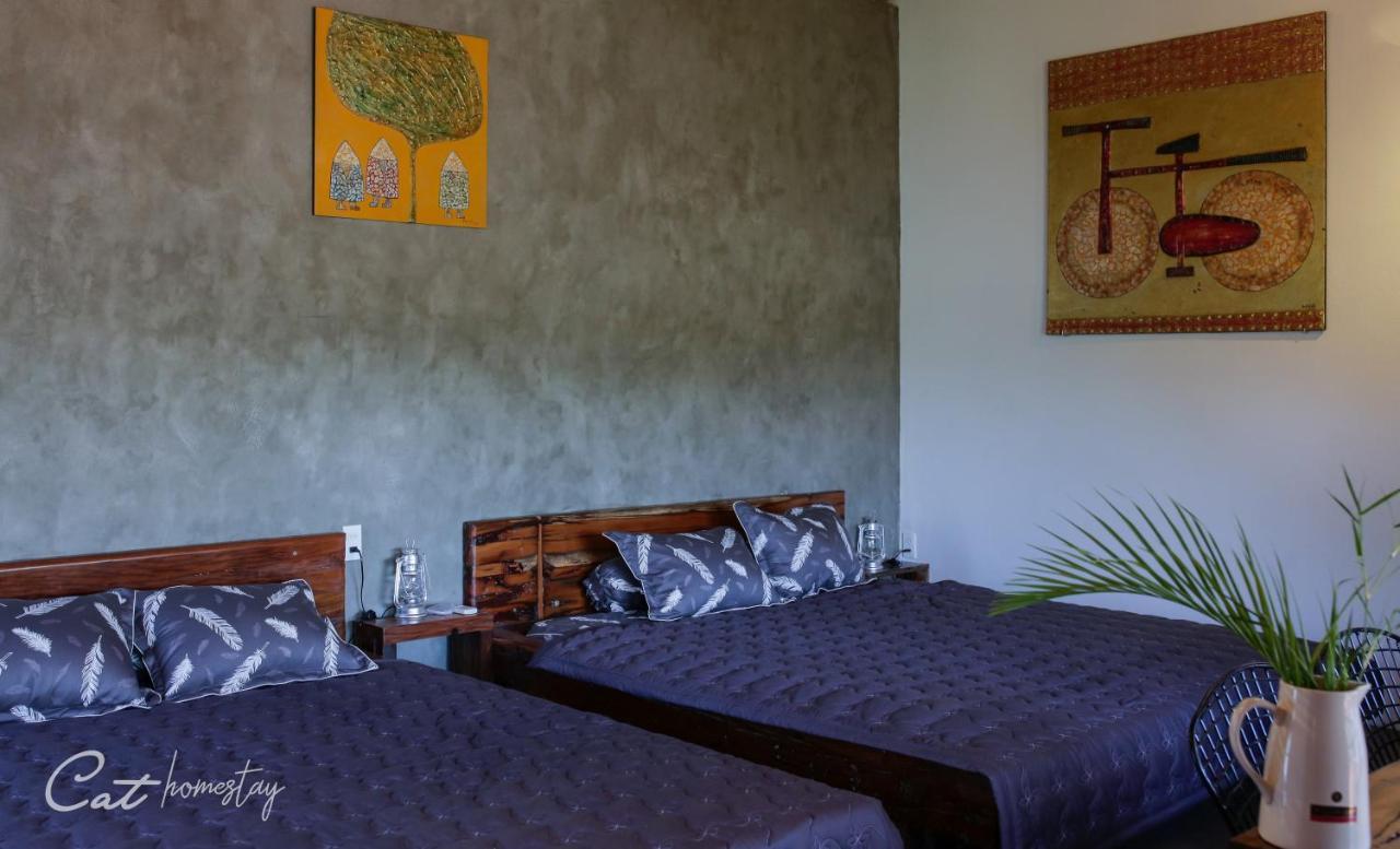 Cat Homestay Хюе Екстер'єр фото