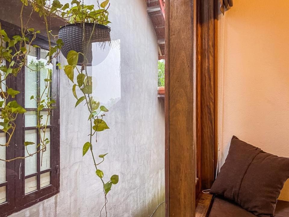 Cat Homestay Хюе Екстер'єр фото